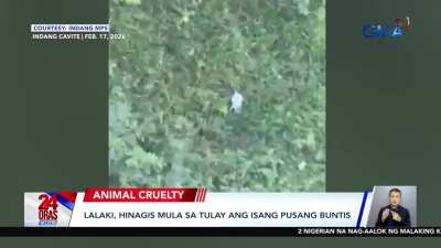 Pusang buntis inihagis ng lalaki mula sa tulay | 24 Oras Weekend