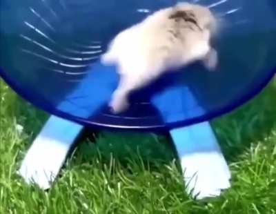 hes very fast