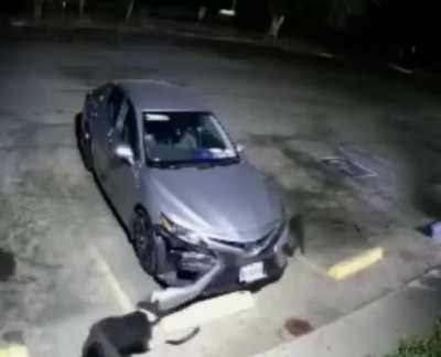 Cuando te dicen "En mi colonia hasta los perros traen navaja"