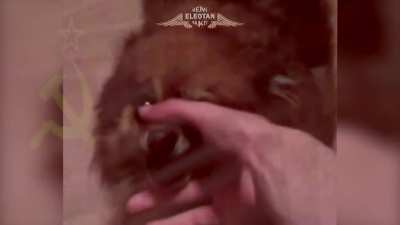 TODOS CANTEMOS O HINO DA PÁTRIA MÃE RUSSIA 🇨🇳