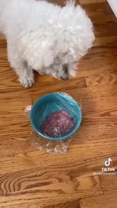 Always the small dogs