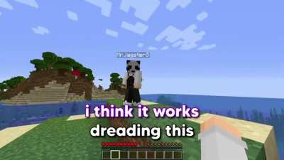 pig