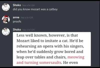 catboy mozart