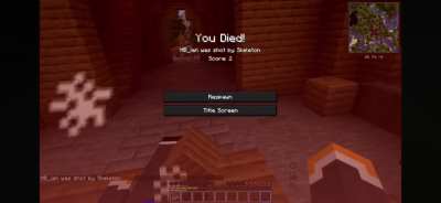 I find it funny how Ian’s first introduction to the new Minecraft is that he instantly dies 