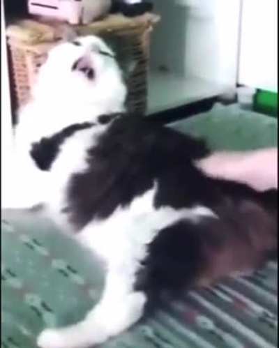 '-'