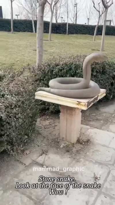 ZyadaKuchNai bas patthar ka saanp