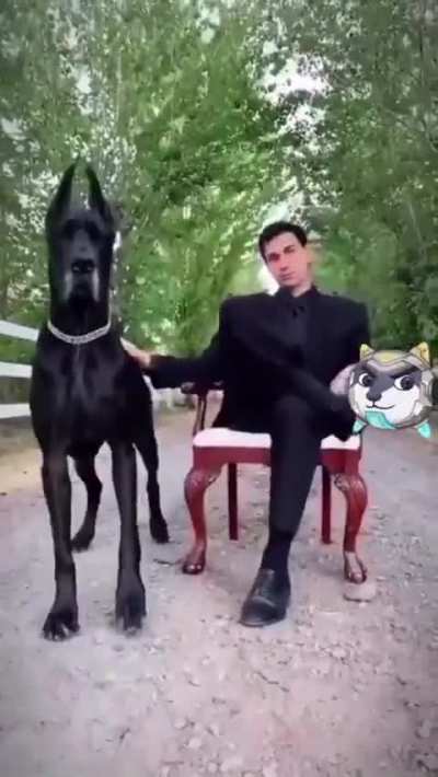 O &uacute;ltimo ngm esperava