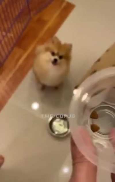 an interesting title