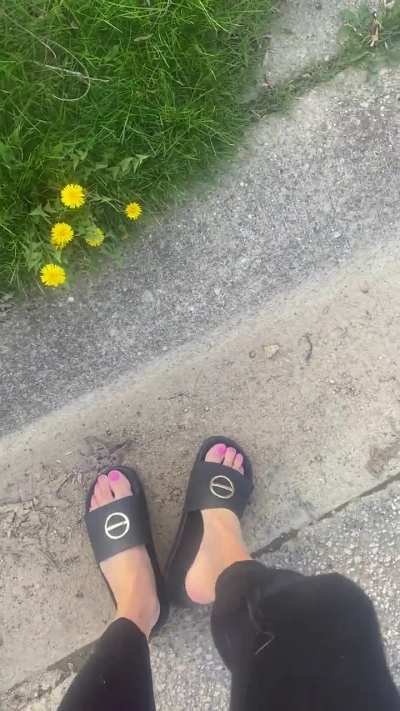 Can you believe I had to walk ALL the way round the mailbox myself?! Isn&rsquo;t there someone who should be doing that for me&hellip;.? These poor feet! 😮&zwj;💨