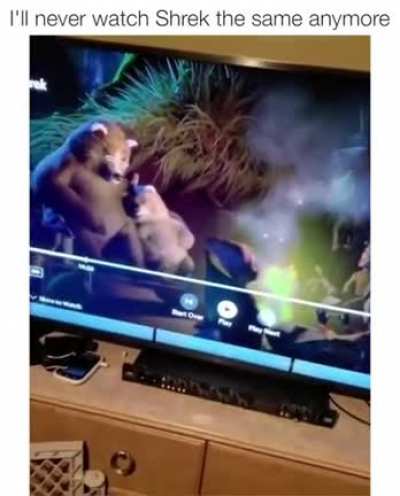 I'll never watch Shrek the same again