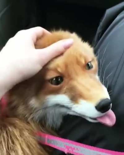 rero rero rero rero