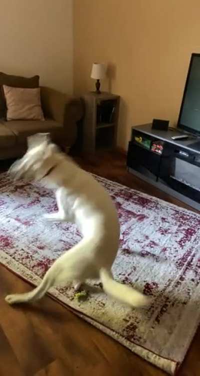He doesn&rsquo;t roll over normally.