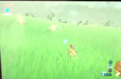 That&rsquo;s Not A Horse