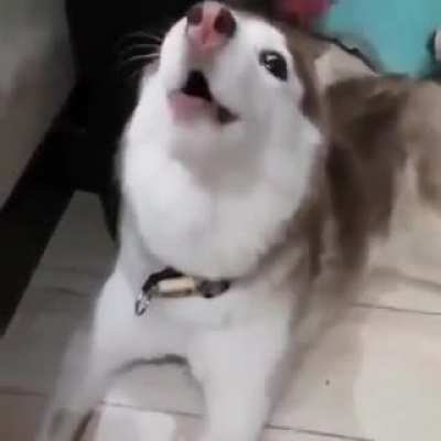 uuUuuUuaaAAAAAAAAAA