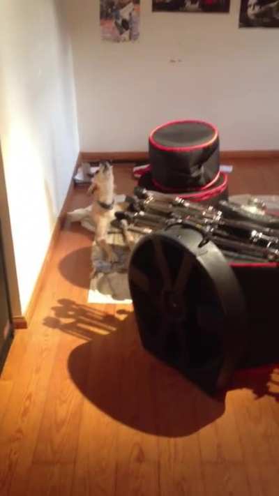 Not a bad audition for a new backing vocalist!