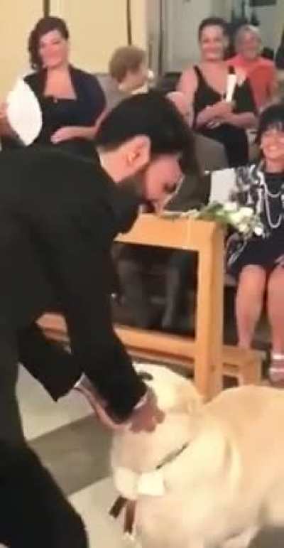 Best ring-bearer ever