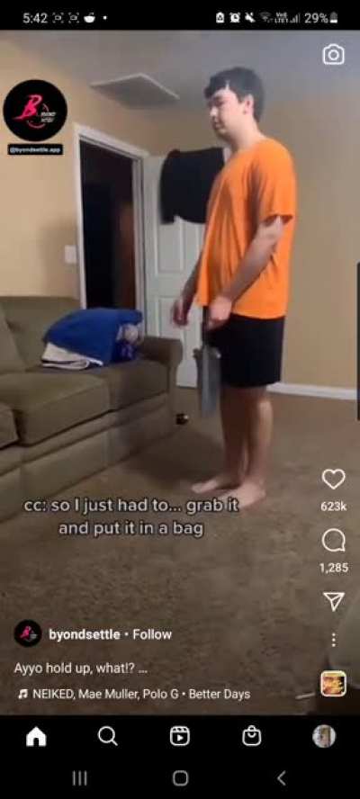 Wtf did I just watch
