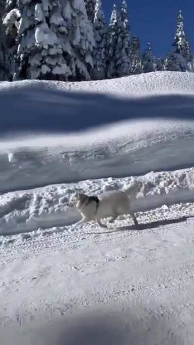 Snow Day!!