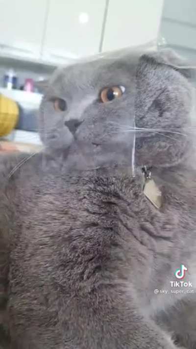 Kedy paket açılımı