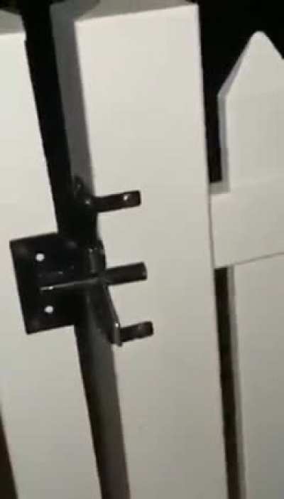 josh open it