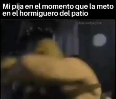 t&iacute;pico