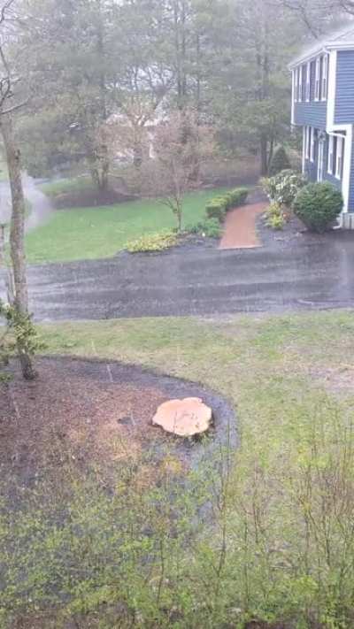 New England spring
