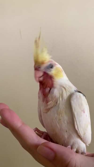 Can't tell if she ate the beet or the beet ate her