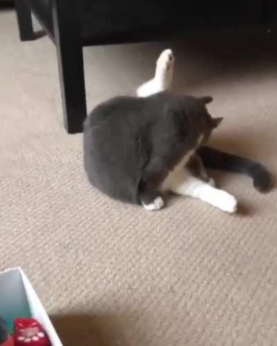 WHAT WAS THAT?!