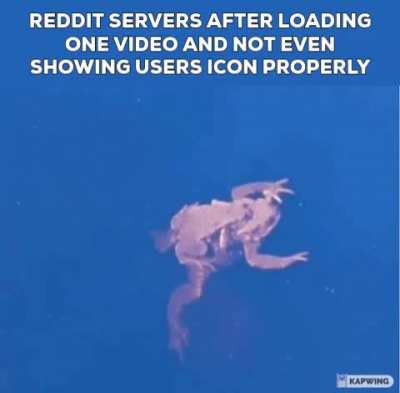 Reddit today