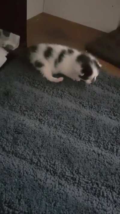 Prison break!