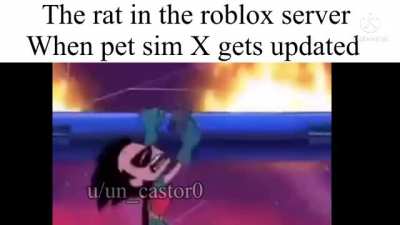 Poor rat