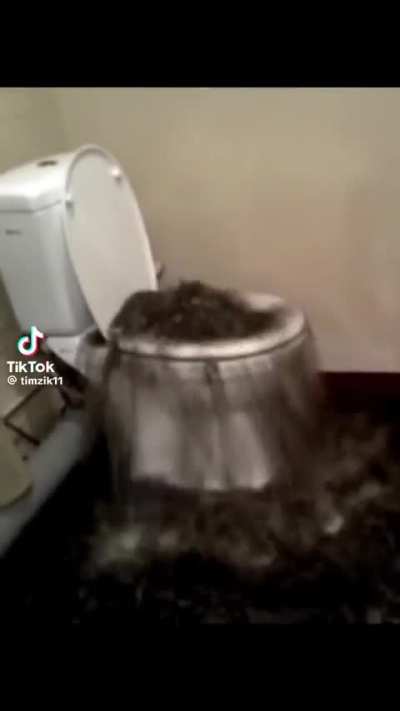 Clamy toilet