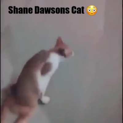 😳