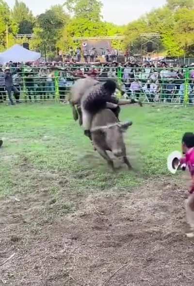 WCGW if I strap in a little too tight?