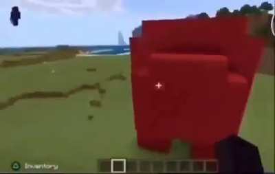 sus