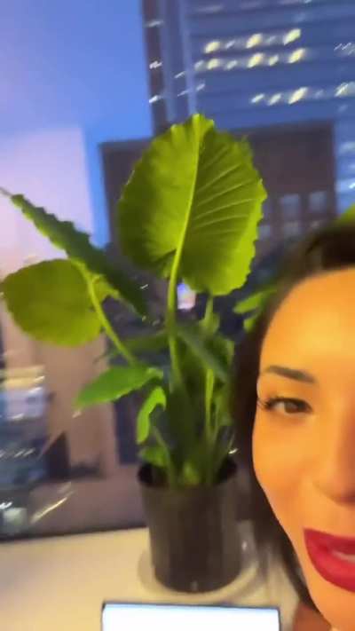 Insta Story