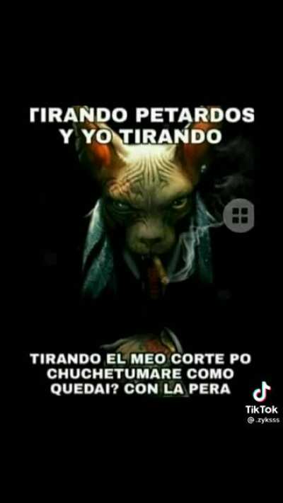 Que saen