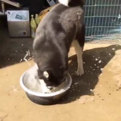 No drinking, it's play time
