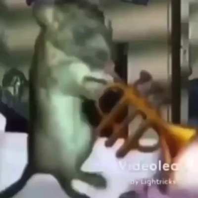 لا تصرخ على أحد