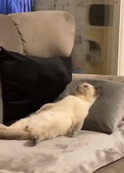 Me thinking about going back to work tomorrow