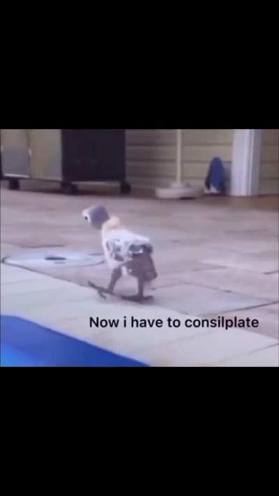 Tiktok memes