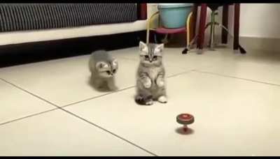 No noo, please don&rsquo;t touch it