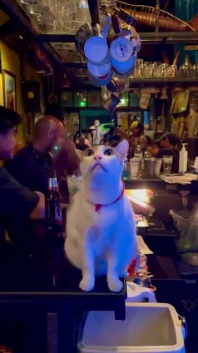 Pub manager