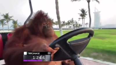 How I drive