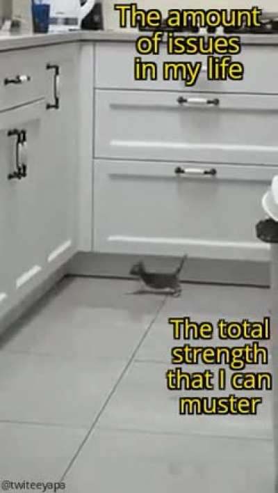 me_irl