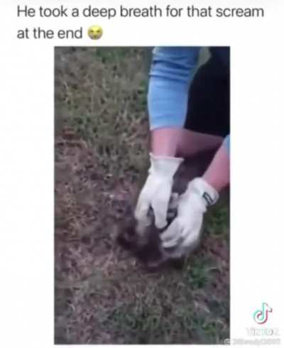 I hate tik tok but&hellip;.