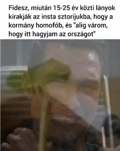 You id it girls, homof&oacute;bia is no more🐧🐧🐧🐧