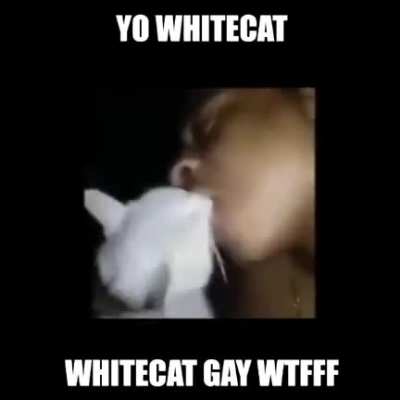 WHITECAT OMG WHAT ARE YOU DOING!!!! &amp;gt;:(
