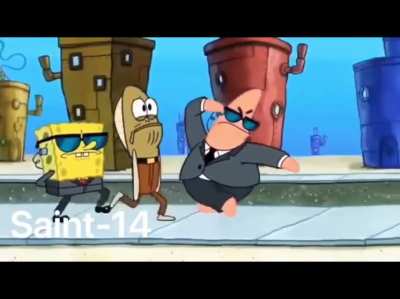 *BONK*