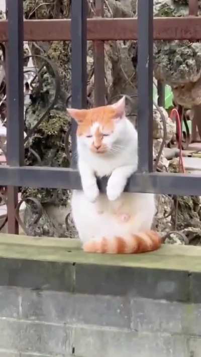 It&rsquo;s Monday Morning my friends